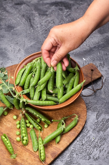 Pois verts, cosses et petits pois sur fond gris loft. Femme tenant des pois verts dans ses mains