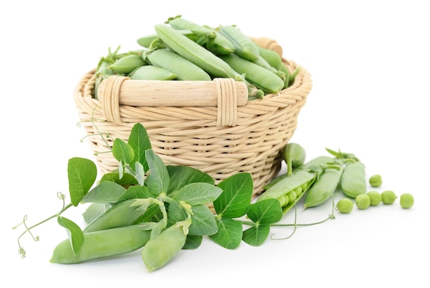 Pois verts frais dans un panier sur fond blanc