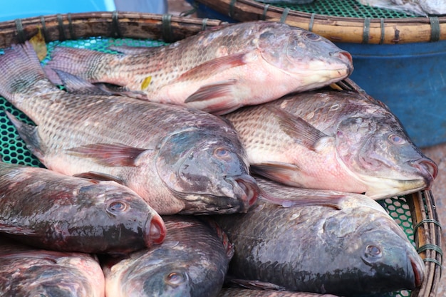 poisson au marché