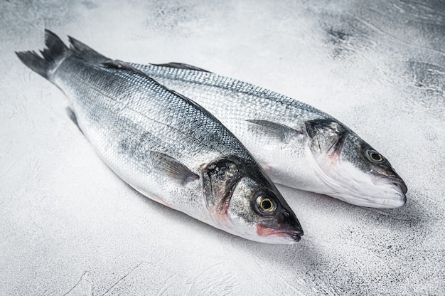 Poisson de bar cru frais sur la table de la cuisine. Fond blanc. Vue de dessus.