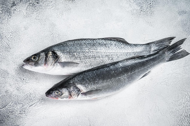 Poisson de bar cru frais sur la table de la cuisine. Fond blanc. Vue de dessus.