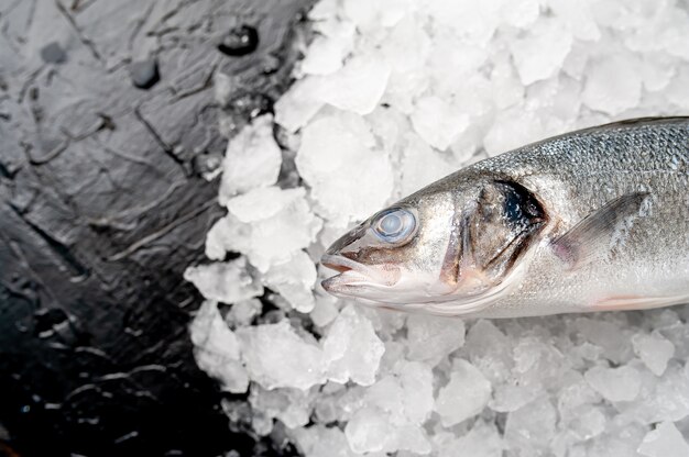 poisson de bar cru réfrigéré sur la glace, sur un fond de pierre