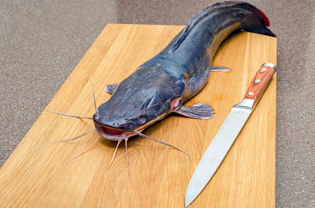 Poisson-chat cru sur une planche à découper, cuisson du poisson.