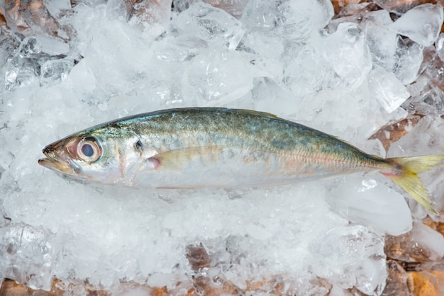 Poisson cru frais sur glace sur une table en bois.