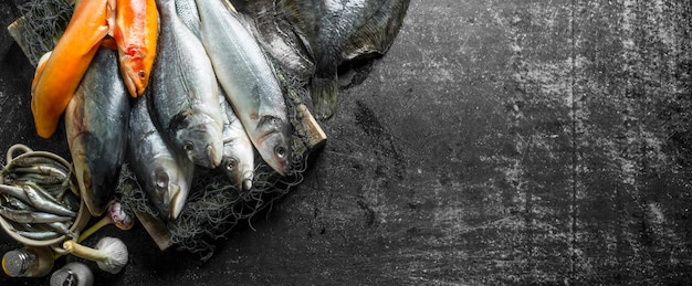 Poisson cru frais sur plateau avec ail et épices