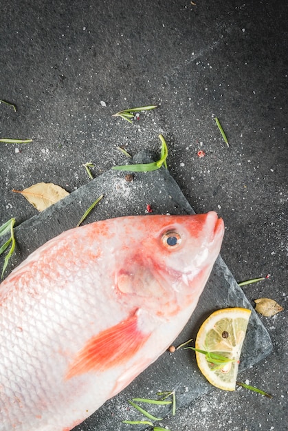 Poisson cru tilapia rouge