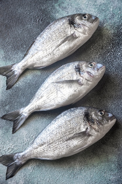 Poisson dorade (dorada)