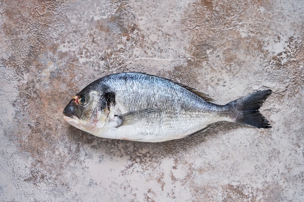 Poisson dorado cru sur fond de béton broun. Dorade biologique fraîche ou poisson dorada. Vue de dessus, espace copie