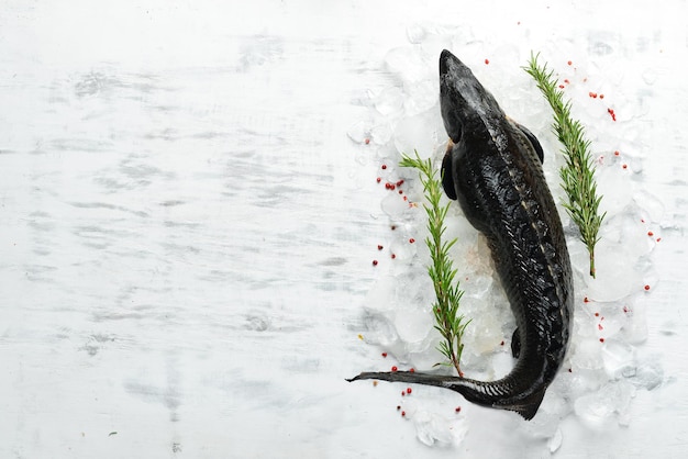 Poisson d'esturgeon au romarin et aux épices sur un fond de cuisine blanc Vue de dessus Mise à plat