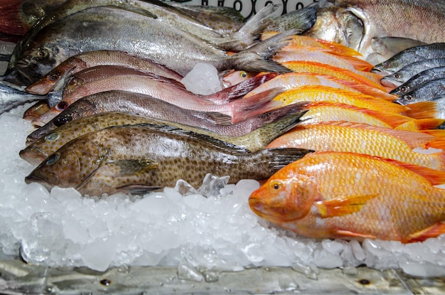 Poisson frais au comptoir d'un restaurant de fruits de mer Différents types de fruits de mer sont disposés sur glace