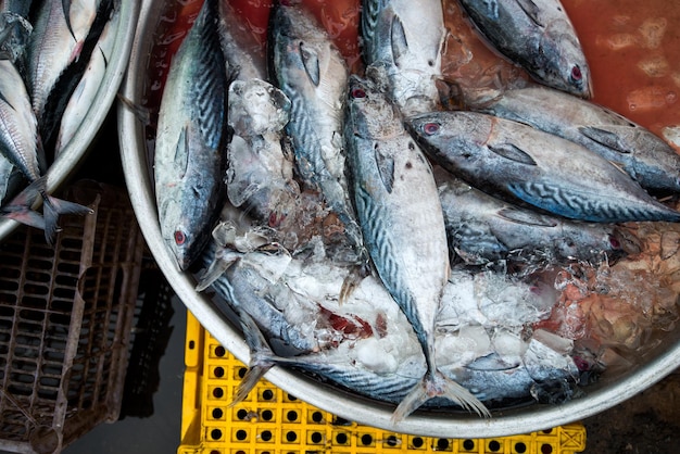 Poisson frais au marché glacé