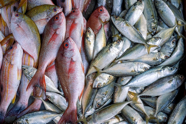 poisson frais au marché local du matin