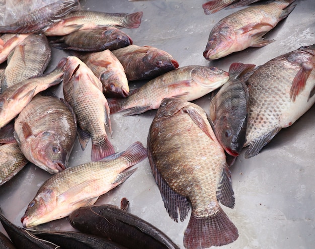 poisson frais au marché