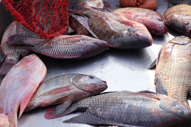 poisson frais au marché