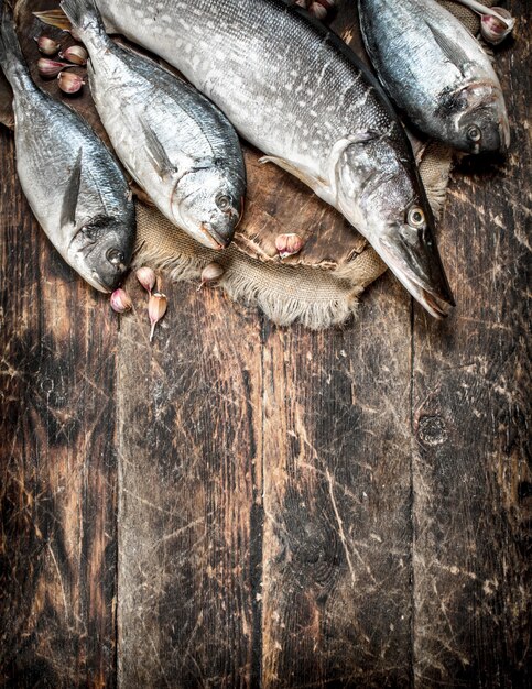 Poisson frais à bord.