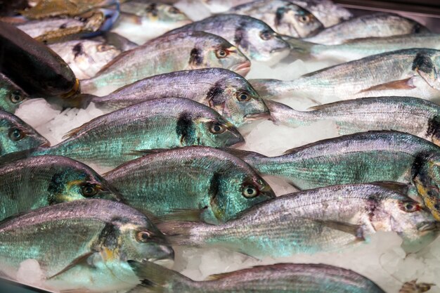 poisson frais sur le comptoir