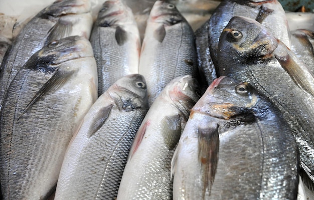 Poisson frais dans un marché au poisson