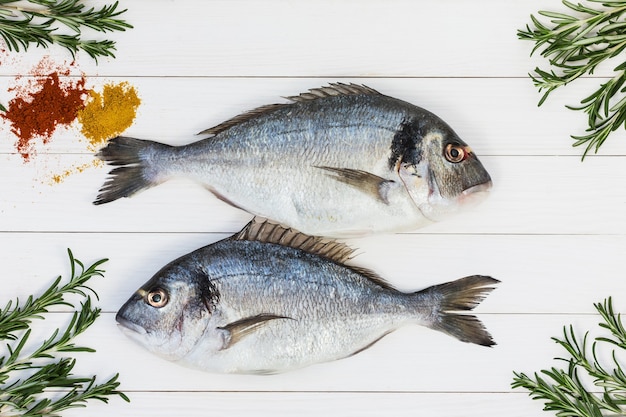 Poisson frais Dorado cru sur table en bois blanc avec du romarin. Vue de dessus