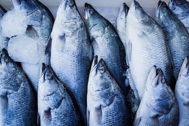 Photo poisson frais de fruits de mer barramundi au marché