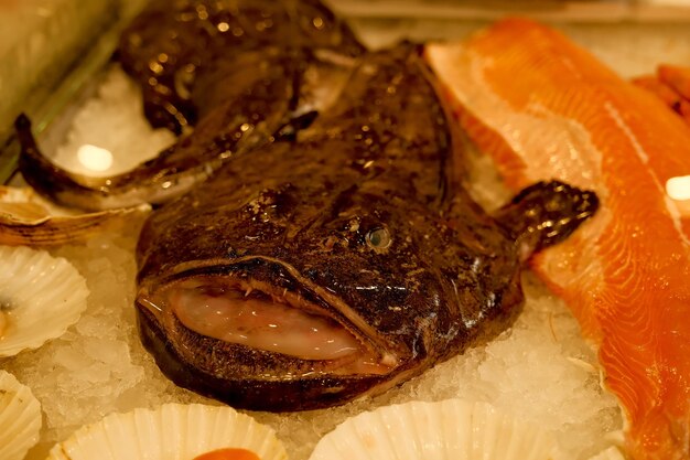 Poisson frais sur glace au marché en gros plan de la photo