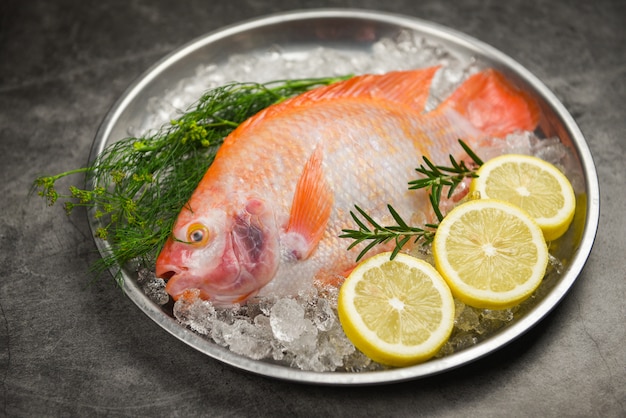 Poisson frais sur glace aux herbes épices romarin et citron - Poisson cru tilapia rouge sur fond de plaque