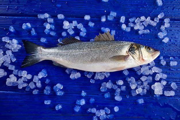 Poisson frais sur la glace et le bois