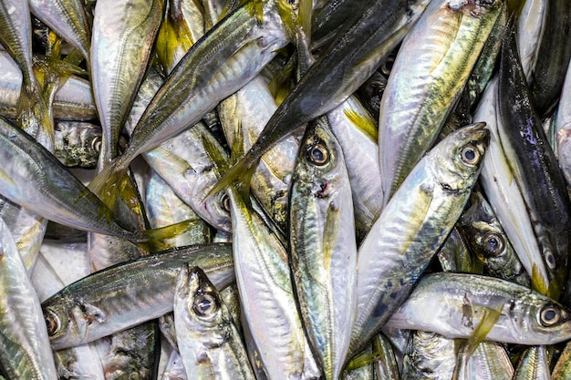 Poisson frais prêt à vendre au comptoir du pêcheur