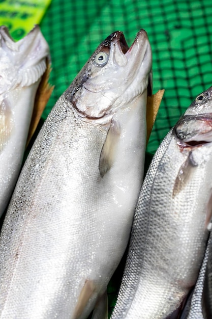 Poisson frais prêt à vendre au comptoir du pêcheur