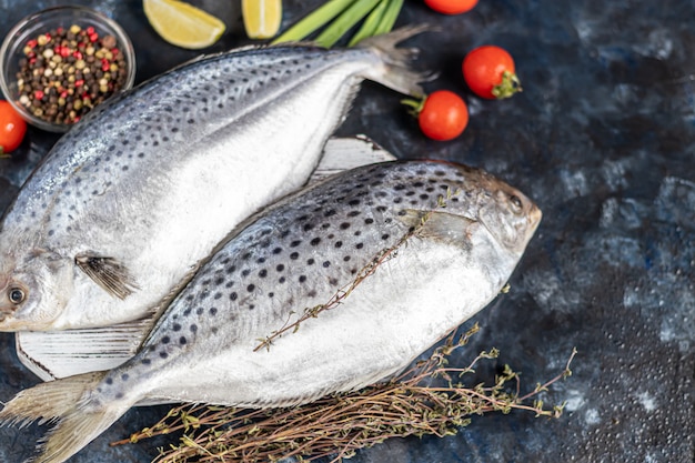 Poisson frais savoureux de la mer sur un fond sombre. Produit congelé. Poisson aux herbes aromatiques, aux épices et aux légumes - le concept d'une alimentation saine, d'une alimentation ou d'une cuisine.