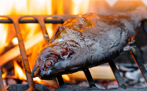 Poisson grillé sur le feu du barbecue. Truite sur plaque de barbecue.