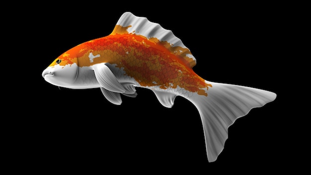 Poisson Koi De Rendu 3d Coloré Avec Des Motifs De Couleur Orange Et Blanc Et Vue Latérale