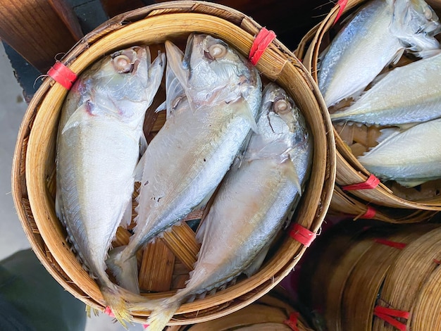 Poisson maquereau dans le panier à vendre