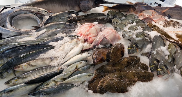 poisson sur le marché méditerranéen