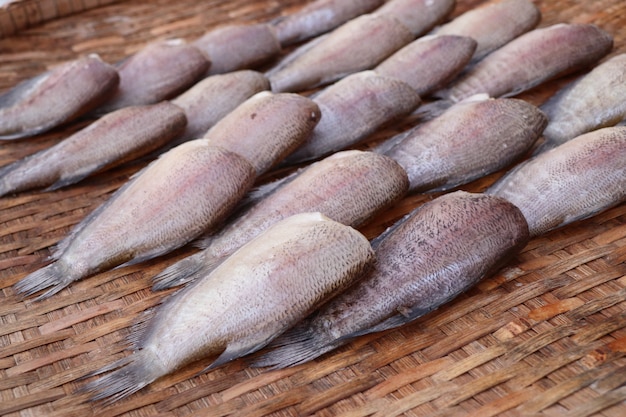 poisson sur le marché