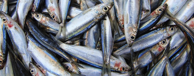 poisson sur le marché