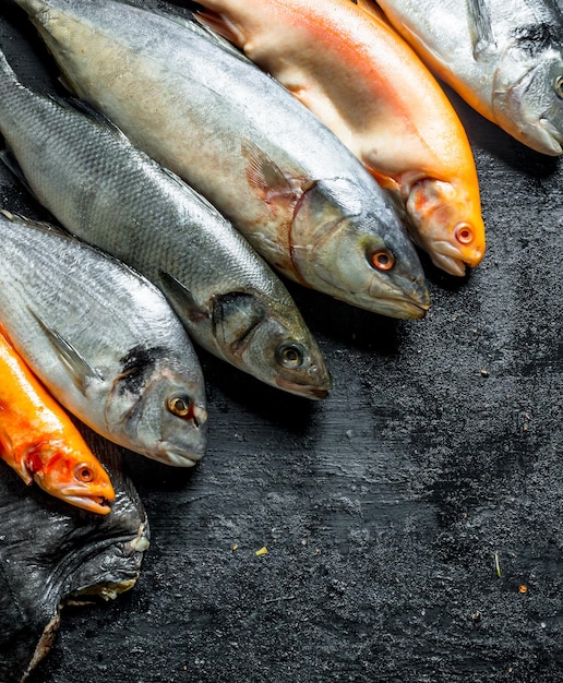 Poisson de mer cru