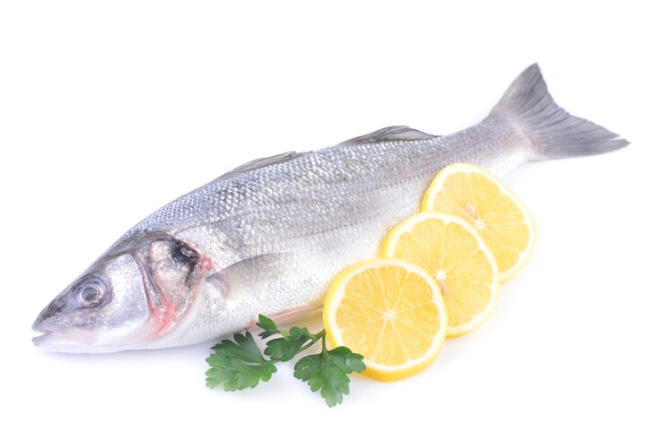 Poisson de mer sur fond blanc