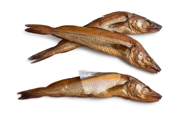 Poisson merlan fumé frais isolé sur fond blanc gros plan