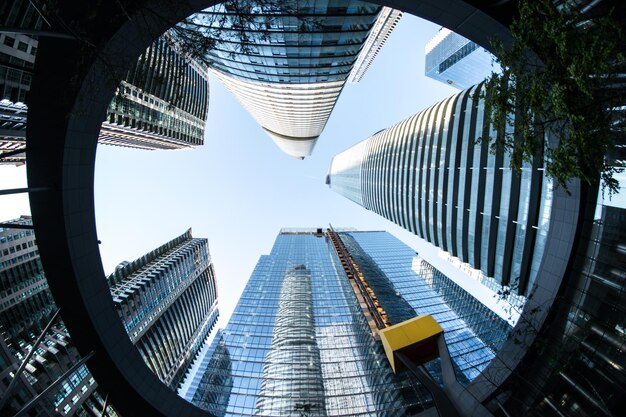 Photo le poisson-œil de toronto