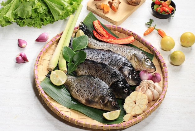 Poisson d'or cru Cyprinus carpio avec épices avant de faire cuire l'ingrédient du menu asiatique