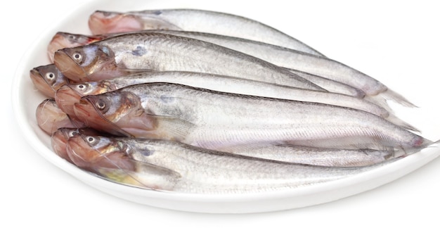 Poisson Pabda D'eau Douce D'asie Du Sud-est Sur Un Bol Blanc