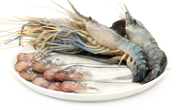 Poisson Pabda d'eau douce avec du homard sur un bol blanc