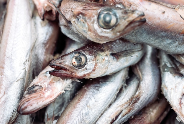 Poisson pourri sur le marché.