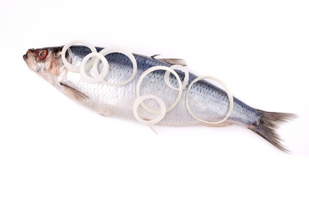 Poisson prêt à cuire isoler sur blanc