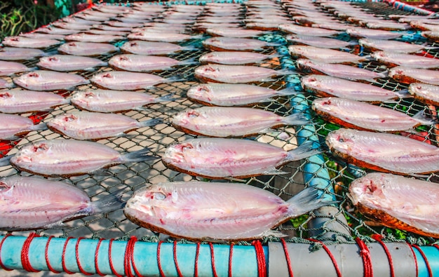 Poisson salé sur le filet