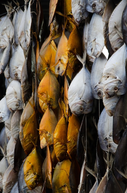 Le poisson séché est suspendu en rangées.