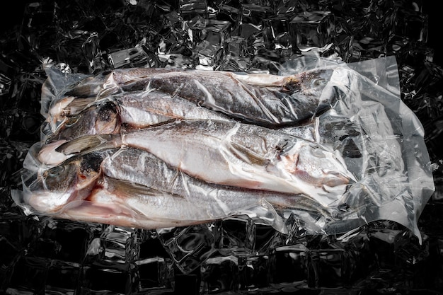 Poisson sous vide sur fond de glace sombre dorada