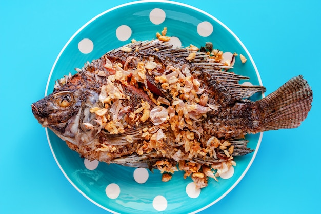 Poisson Tilapia frit dans une assiette à pois sur fond bleu