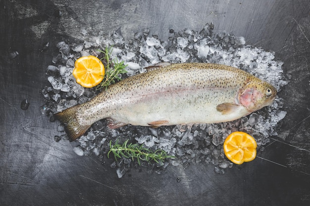 Poisson truite cru sur glace avec romarin et citron sur fond sombre en pierre, vue de dessus