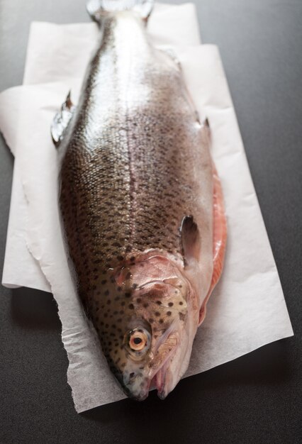 Poisson truite fraîche crue sur fond noir